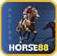 horse88