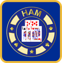 ham88